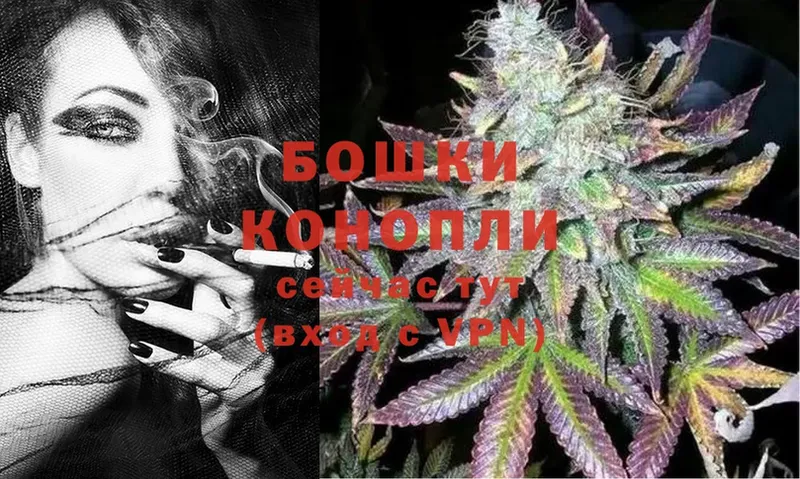 наркота  Пионерский  Марихуана Ganja 